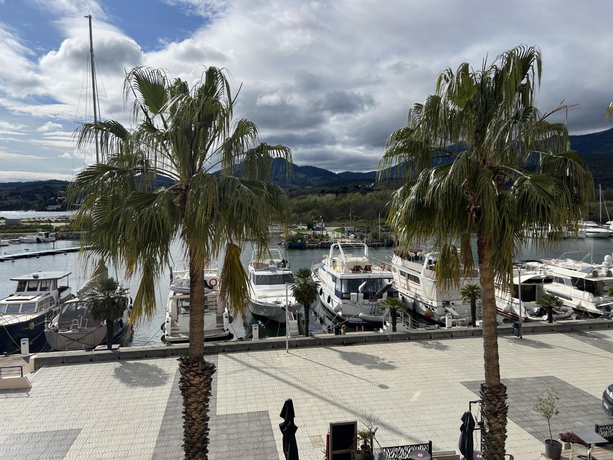 Argeles Sur Mer - Appartement 6 Pers Avec Terrasse Et Parking - Fr-1-309-375 מראה חיצוני תמונה